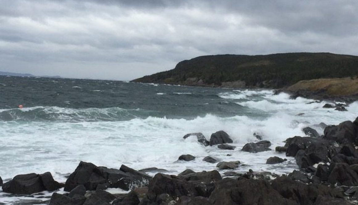 IMG_5580